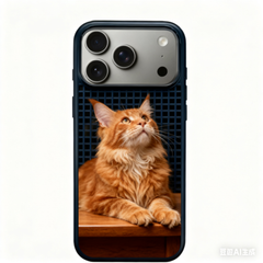 AIRKAS Personal Custom 3D Phone Case For iPhone 17/16/15 Series，Gift For Family and lover